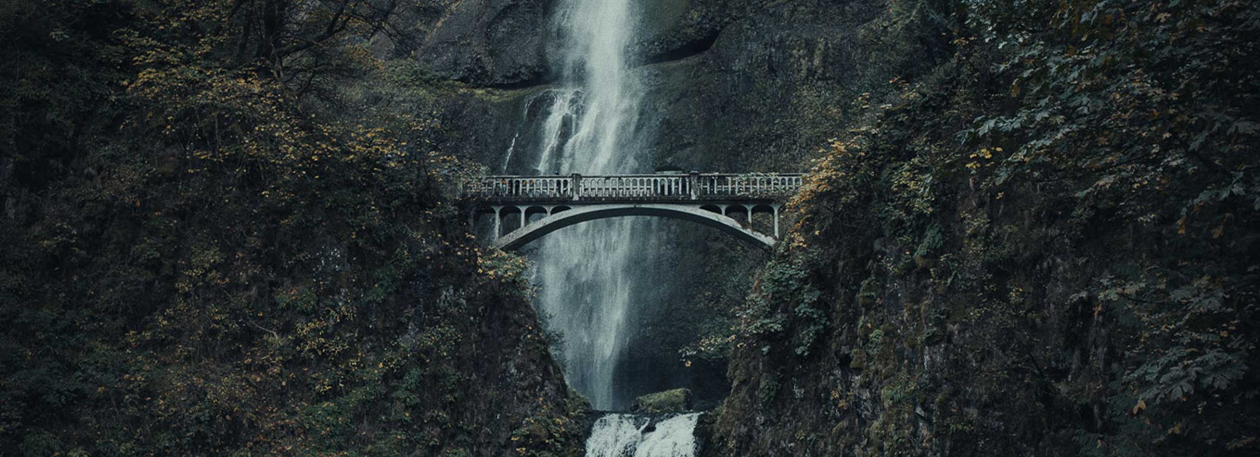 Do I need a degree to be a land surveyor?